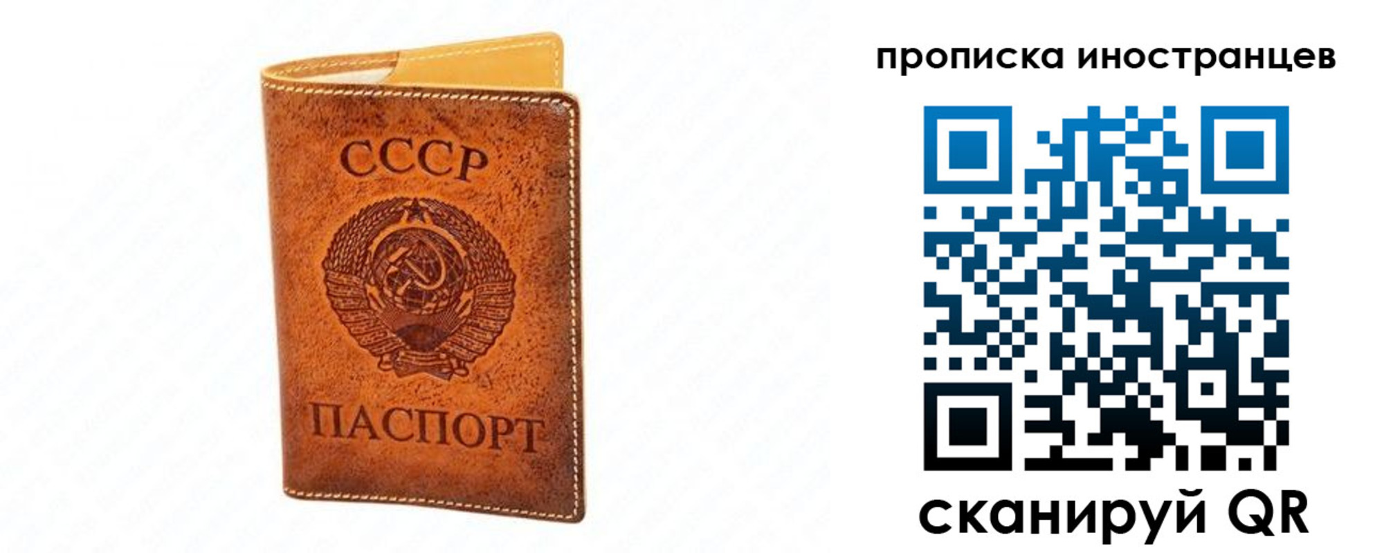 прописка для школы в Новомичуринске
